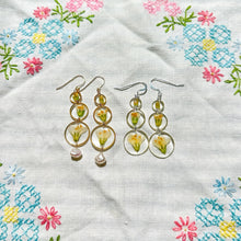 Load image into Gallery viewer, Lifecycle of Jacob’s Ladder drop earring