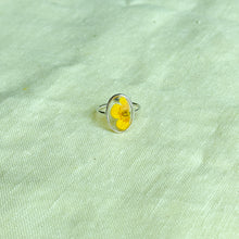 Load image into Gallery viewer, Size 5.5 - Buttercup Window sterling silver ring