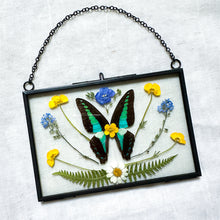 Load image into Gallery viewer, Bluebottle Butterfly Wall Hanging