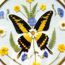 Load image into Gallery viewer, Yellow Swallowtail Butterfly Circle Wall Hanging