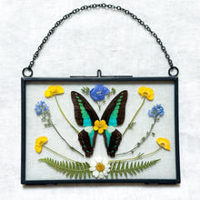 Load image into Gallery viewer, Bluebottle Butterfly Wall Hanging