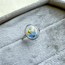 Load image into Gallery viewer, Size 4.5 - Garden Window sterling silver ring