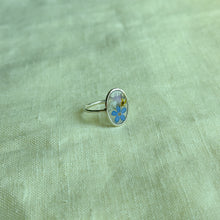Load image into Gallery viewer, Size 7 - Garden Window sterling silver ring