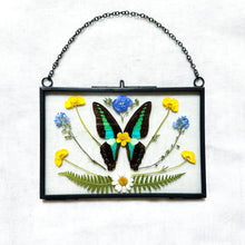 Load image into Gallery viewer, Bluebottle Butterfly Wall Hanging