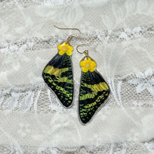 Load image into Gallery viewer, Buttercup sunset moth wing earring
