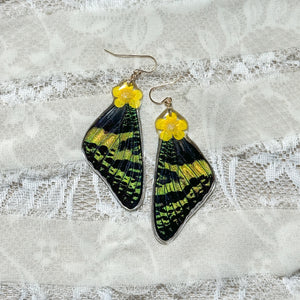 Buttercup sunset moth wing earring