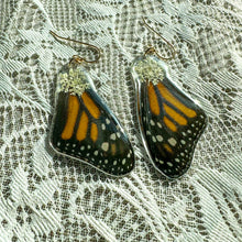 Load image into Gallery viewer, Queen Anne’s Lace monarch wing earring
