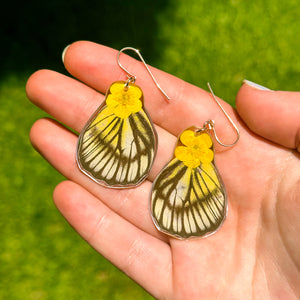 Buttercup white and black wing earrings