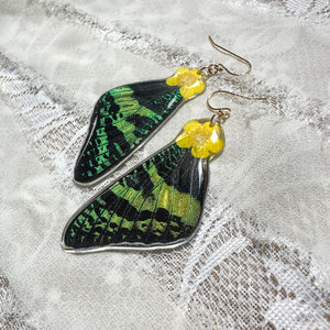 Buttercup sunset moth wing earring