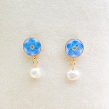 Load image into Gallery viewer, Forget-me-not pearl drop studs - gold-filled
