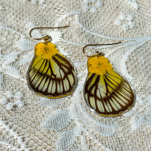 Load image into Gallery viewer, Buttercup white and black wing earrings
