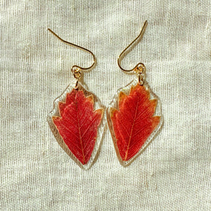 Small red oak leaf earrings