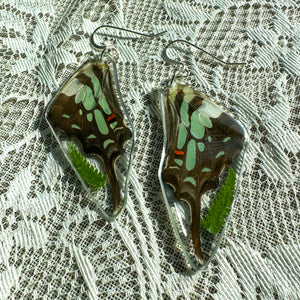 Fern swallowtail wing earrings