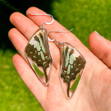 Load image into Gallery viewer, Fern swallowtail wing earrings
