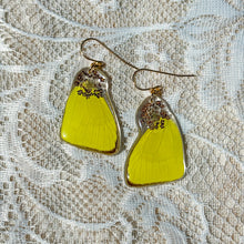 Load image into Gallery viewer, Pink queen annes lace yellow wing earring
