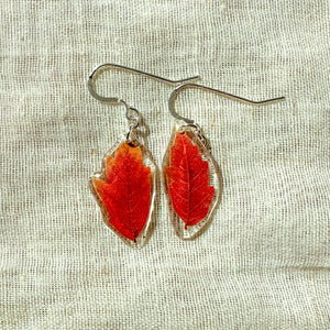 Small red oak leaf earrings