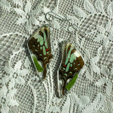 Load image into Gallery viewer, Fern swallowtail wing earrings
