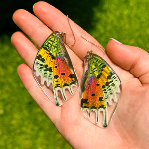 Sunset moth wing earring