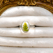 Load image into Gallery viewer, Fern patterned band ring (Size 7.5)
