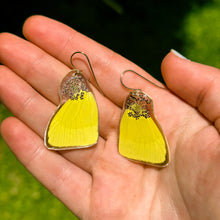 Load image into Gallery viewer, Pink queen annes lace yellow wing earring
