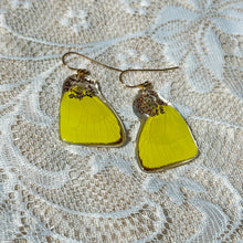 Load image into Gallery viewer, Pink queen annes lace yellow wing earring
