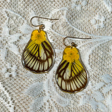 Load image into Gallery viewer, Buttercup white and black wing earrings
