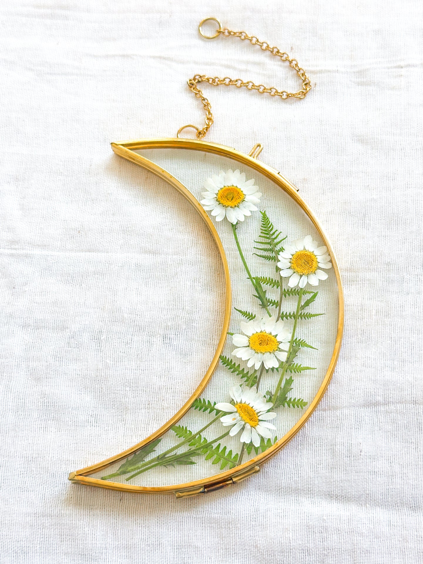 Wild daisy crescent moon gold wall hanging