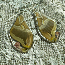 Load image into Gallery viewer, Dusty pink moth wing earring
