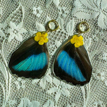 Load image into Gallery viewer, Buttercup large blue wing earring
