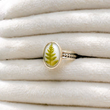 Load image into Gallery viewer, Fern patterned band ring (Size 6.5)
