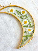Load image into Gallery viewer, Wild daisy crescent moon gold wall hanging
