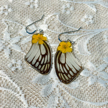 Load image into Gallery viewer, Buttercup white and black wing earrings
