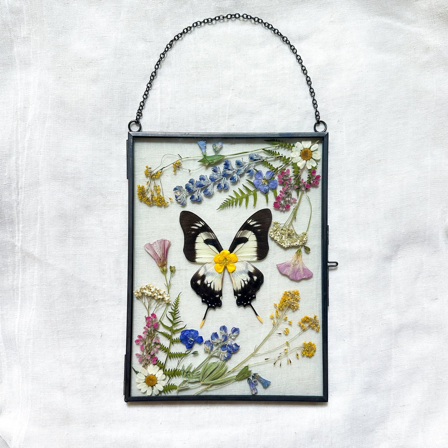 White Swallowtail Butterfly Rectangle Wall Hanging
