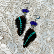 Load image into Gallery viewer, Blue flax wing earring
