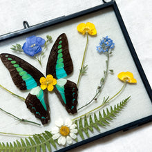 Load image into Gallery viewer, Bluebottle Butterfly Wall Hanging
