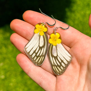 Buttercup white and black wing earrings