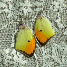 Load image into Gallery viewer, Purple flower yellow and orange wing earring
