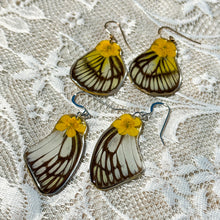 Load image into Gallery viewer, Buttercup white and black wing earrings
