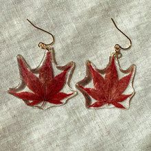 Load image into Gallery viewer, Small red maple leaf earrings
