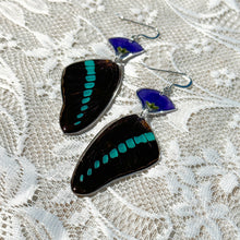 Load image into Gallery viewer, Blue flax wing earring
