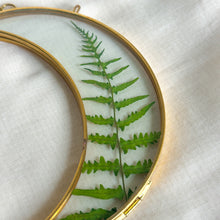 Load image into Gallery viewer, Fern gold crescent moon wall hanging
