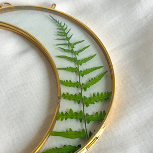 Fern gold crescent moon wall hanging