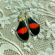 Load image into Gallery viewer, Chokecherry red and black wing earring
