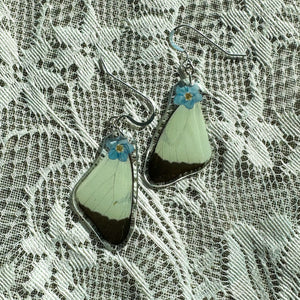 Forget-me-not pale yellow wing earring