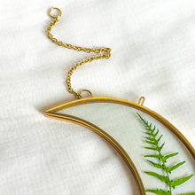 Load image into Gallery viewer, Fern gold crescent moon wall hanging
