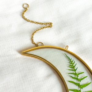 Fern gold crescent moon wall hanging