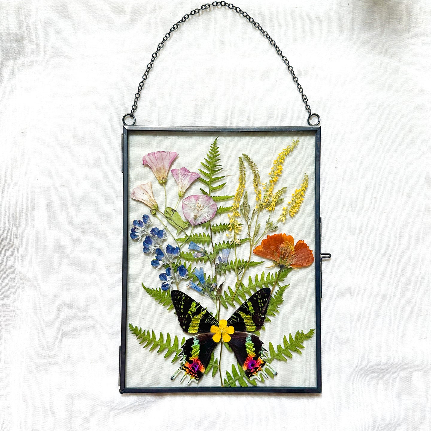 Sunset Moth Rectangle Wall Hanging