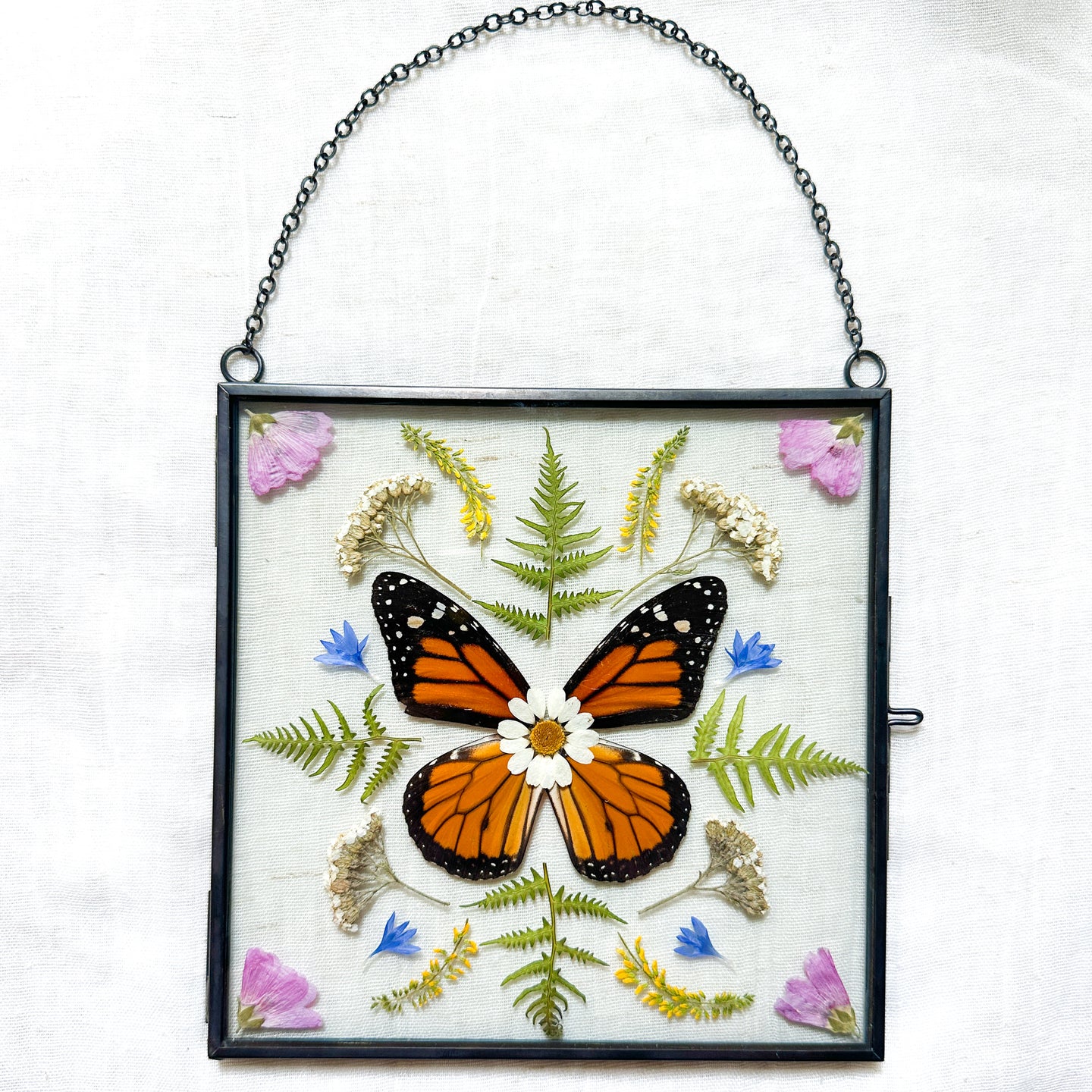 Monarch Butterfly Square Wall Hanging