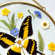 Load image into Gallery viewer, Yellow Swallowtail Butterfly Circle Wall Hanging
