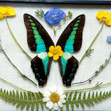 Load image into Gallery viewer, Bluebottle Butterfly Wall Hanging
